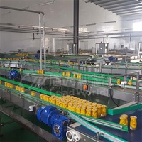 Kant En Klare Gele Perzik Inblikkende Productielijn Omvat Belangrijke Zuivelverwerkingsmachines Voor Verse Fruit Ingeblikte Producten