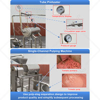 HNOC Industriële Tomatenpuree Productielijn Sausmachine Tomatenpuree Machine