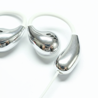 Écouteurs intra-auriculaires filaires métalliques en forme de goutte d'eau, câble tressé, Type-C, transducteur dynamique, moule privé, AAC