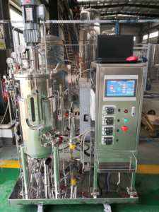 Tanques de Fermentación Personalizados de 5L~500L, Biorreactor Semiautomático CIP GMP, Ahorro de Energía, 110V-230V, OEM - Product Image 3