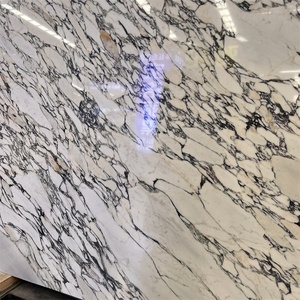 Taglio a misura naturale italia Calacatta <span class=keywords><strong>Viola</strong></span> code di <span class=keywords><strong>marmo</strong></span> per piastrelle da parete retro parete pavimento in <span class=keywords><strong>marmo</strong></span> <span class=keywords><strong>Viola</strong></span> <span class=keywords><strong>marmo</strong></span> - Product Image 3