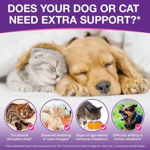 Gummies pour le sommeil ODM/OEM pour chats et chiens - Vitamines et minéraux liquides avec calcium - Soutien digestif sensible - Product Image 6