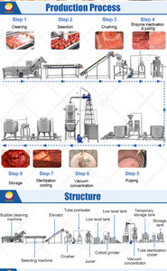 Ligne <span class=keywords><strong>de</strong></span> production industrielle et commerciale automatique pour la fabrication <span class=keywords><strong>de</strong></span> sauce, purée et pâte <span class=keywords><strong>de</strong></span> tomates italiennes - Product Image 2