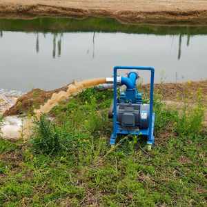 No <b>Clogging</b> Sewage Pump Horizontal Slurry Centrifugal Manure Sewage City Manure Pump - Product Image 5