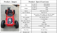 Go Kart con Volante y Diferencial, Motor de 212cc y 4 Tiempos, Llantas de 10 Pulgadas, Buggy Todoterreno para Niños y Adultos, Kart de Recreo