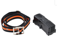 Traqueur d'animaux GPS IOT LoRaWAN Smart Cattle nema node