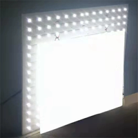 Panneau blanc de polycarbonate de forme diffuse laiteuse faite sur commande de feuille de polycarbonate de lumière du solide LED de 10mm
