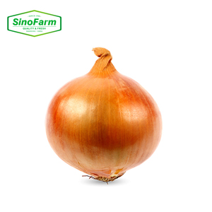 Thương hiệu nổi tiếng sinofarm tỏi tươi được phê duyệt chất lượng cao 4-7cm hành tây vàng Nhà cung cấp hành tây Hạt giống xuất khẩu - Product Image 4