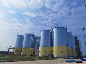 1000T 2500T Grain <b>Bins</b> Manufacturer with Competitive Price Grain Silo - Product Image 1