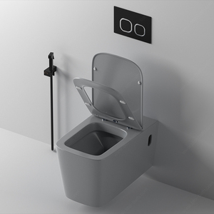 BTO Vente en gros articles sanitaires de luxe europe sans rebord couleur gris mat peu encombrant sanitario <span class=keywords><strong>WC</strong></span> suspendus muraux cuvette commode - Product Image 1