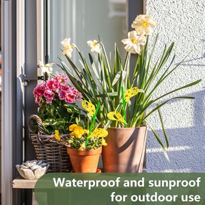 Offre Spéciale plante Bug pièges collants intérieur vert collant étanche plante d'intérieur <span class=keywords><strong>mouche</strong></span> moucheron pièges - Product Image 5