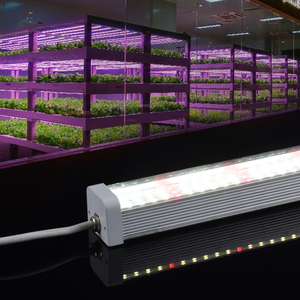 Invernaderos de cultivo de <span class=keywords><strong>uva</strong></span> directos de fábrica dentro de la agricultura de flores de frutas 150 grados T12 accesorio de espectro completo Led crece la <span class=keywords><strong>luz</strong></span> - Product Image 3