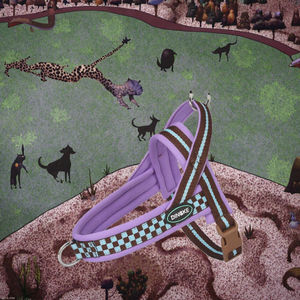 Harnais de chien en polyester pour petits et moyens chiens (Bichon, Shiba Inu) – Utilisation extérieure, fermeture à bouton, rembourré, avec ruban à lettres Hii Pet - Product Image 3