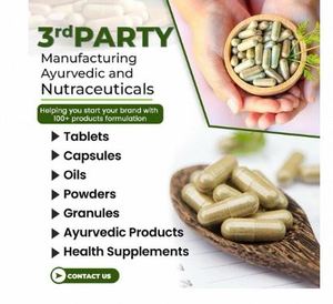 Cápsulas de Extracto de Shilajit, Fórmula de Apoyo Energético, Uso Diario, Extracto Herbal de Shilajit de Alta Potencia, Cápsulas de Extracto de Shilajit Natural - Product Image 2