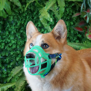 Bozal para perros <span class=keywords><strong>Ultra</strong></span>-Perros negros perfectos, evita masticar y morder, la cesta permite jadear y beber-Cómodo, humano - Product Image 2