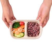 100% Biologisch Afbreekbaar Wegwerp Bagasse Pulp Afhaalmaaltijd Doos 850Ml 1000Ml 2 Compartiment Natuurlijke/Witte Voedselcontainer Met Deksel