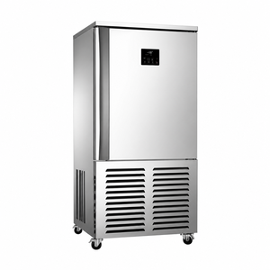 RTK Multi-Tray Aufrechter Maßgefertigter Gewerblicher Schockfroster für Bäckereien, Werkstätten und Restaurants - Product Image 1