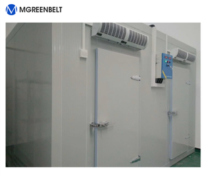 <span class=keywords><strong>Chambre</strong></span> <span class=keywords><strong>froide</strong></span> négative <span class=keywords><strong>industrielle</strong></span> standard de pièce d'entreposage au froid - Product Image 6