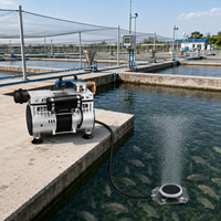 Aérateur de bassin à haut débit, ensemble complet avec compresseur sans huile 70L/min, 3 diffuseurs et tubes lestés pour lacs paysagers