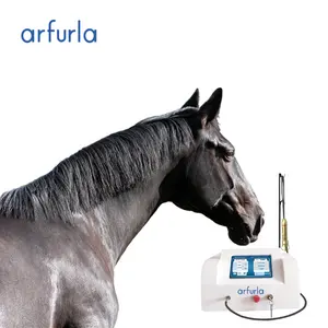 Laser Dioda 810 Nm Dokter Hewan untuk Anjing Kuda Kucing Penghilang Rasa Sakit Tecar Terapi Fisioterapi Laser Alat Pereda Nyeri