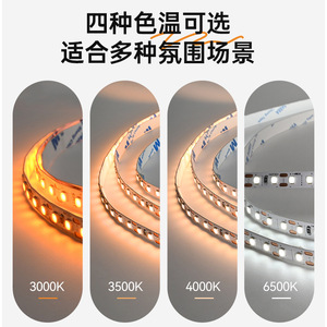 Bande lumineuse LED Chint 24V 2835 240D 10mm monochrome autocollante pour plafond de salon, éclairage d'ambiance linéaire DIY - Product Image 4