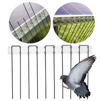 Piques anti-oiseaux écologiques en acier inoxydable massif de qualité supérieure pour panneaux solaires, base en PC résistante aux UV pour la protection des fermes extérieures