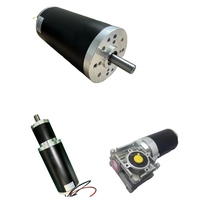 Moteur électrique CC à balais ou sans balais 12 24 Volt 36 48 Volt, moteur à engrenages CC 24V 12V, puissance 50 Watt 100 200 300 Watt 500 1000 Watt