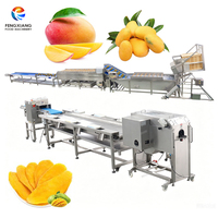 Complete mango verwerkingslijn: schiller, ontpitter, wasmachine, droger, snijmachine. Turnkey oplossing van een ervaren Chinese fabrikant.