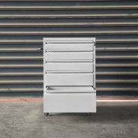 Armoire à outils métallique robuste WOMA sur mesure avec tiroirs, roulettes, serrure à clé, capacité de charge de 80 kg/étagère, chariot à outils CE OEM, garantie 5 ans