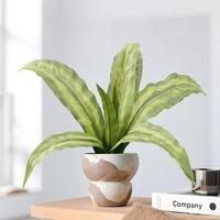 Plante artificielle à feuilles variées 58 cm, tige de Calathea réaliste pour arrangements floraux et décoration paysagère