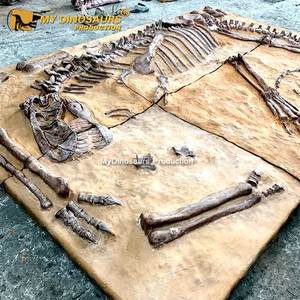 Muro fósil de dinosaurio Artificial de tamaño natural de alta calidad My Dino para equipo de <span class=keywords><strong>parque</strong></span> temático - Product Image 1