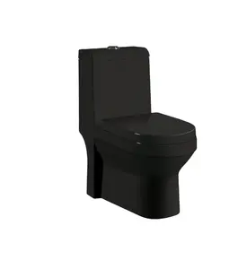 OEM Glossy glaze and Matte black bathroom wc toilet porcelain one piece concelled toilet gold wc colored wash basin bowl