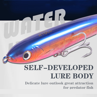 Leurre dur, leurre long, yeux de poisson 3D, leurre crayon de pêche, accessoires de pêche, leurre pour thon, jig, leurre japonais flottant