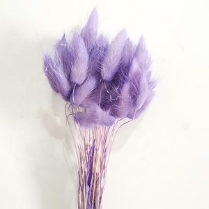 Bouquets de fleurs séchées herbes, 50 pièces, plantes en queue de lapin, lagure ovale, prix d'usine - Product Image 2