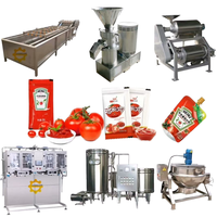 Machine entièrement automatique pour la fabrication de purée de tomates, en acier inoxydable, ligne de production clé en main de sauce tomate et de ketchup