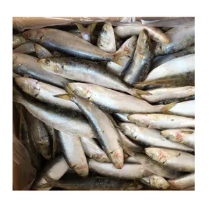 批发市场价格出售沙丁鱼高品质全部分海鲜100-200 8-10沙丁鱼勒慕