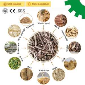 Ligne <span class=keywords><strong>de</strong></span> production <span class=keywords><strong>de</strong></span> granulés <span class=keywords><strong>de</strong></span> biomasse à <span class=keywords><strong>prix</strong></span> d'usine pour la fabrication <span class=keywords><strong>de</strong></span> copeaux <span class=keywords><strong>de</strong></span> bois et <span class=keywords><strong>de</strong></span> granulés d'eucalyptus pour le chauffage - Product Image 4