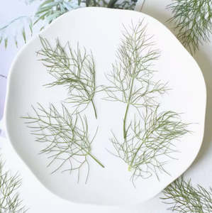 Tallo y hoja <span class=keywords><strong>de</strong></span> hinojo con ramas, manualidades <span class=keywords><strong>de</strong></span> bricolaje, fabricación <span class=keywords><strong>de</strong></span> plantas naturales, flor prensada real para Resina - Product Image 1