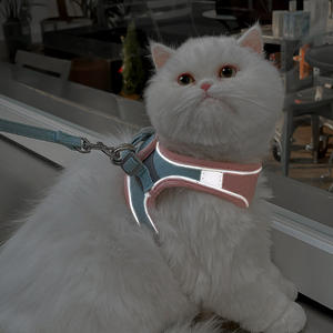 Cat Reflective Fashion Solid Nylon <span class=keywords><strong>Harness</strong></span> Leine für alle Jahreszeiten Spezielle Anti-Escape Pet Leine für Walking Dogs - Product Image 3