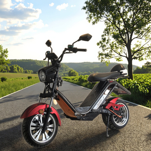 <span class=keywords><strong>DAYI</strong></span> Moto électrique 3000W 60V 30Ah longue porté<span class=keywords><strong>e</strong></span> 80km avec chargeur rapide, vitesse 60km/h, homologué<span class=keywords><strong>e</strong></span> pour la route, scooter électrique - Product Image 2
