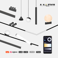 Système d'éclairage sur rail magnétique intelligent Tuya, ajustement précis, rail ultra-fin de 10 mm, 48 V, éclairage sur rail magnétique LED en aluminium personnalisé