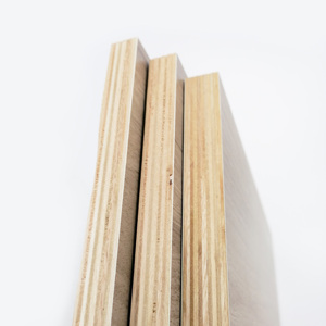 ขายส่ง<span class=keywords><strong>ราคา</strong></span>ต่ำเมลามีนแผ่นไม้อัดไม้อัดไม้อัดลามิเนต - Product Image 5