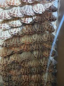 VENTA CALIENTE CÁSCARA DE CANGREJO SECA-ALTA CANTIDAD-PARA ARTESANÍA O ALIMENTACIÓN ANIMAL HECHA EN VIETNAM PARA EXPORTAR - Product Image 4