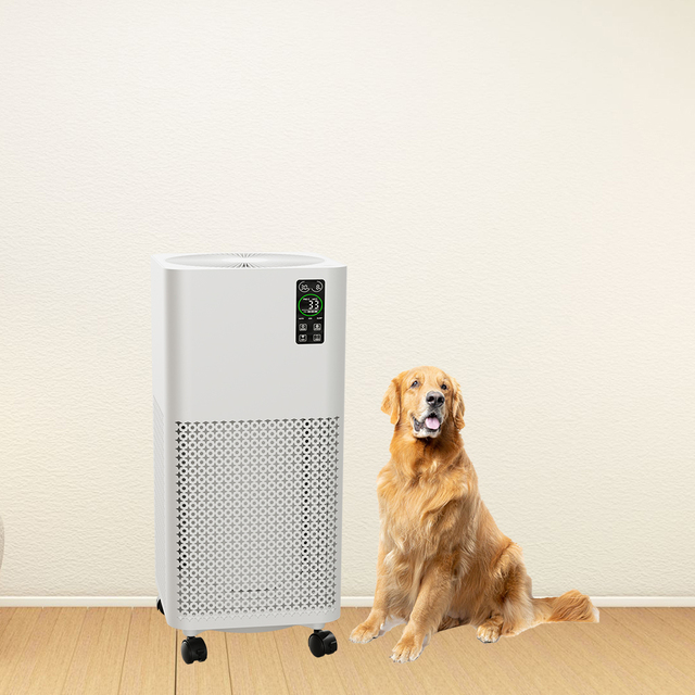 OEM ODM Industrial Room Air Purifier Hepa Filter Pet Hair Removal Stand Desktop Household Purifiers-China Pet Air Purifier