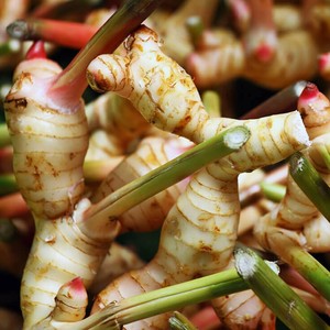 Gừng mứt/Gừng khô lát/gừng - Product Image 6