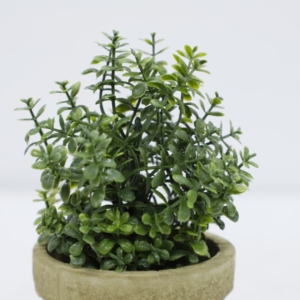 Planta Suculenta Artificial en Maceta, Bonsái de Jade Artificial en Maceta de Pulpa de Papel, Mini Decoración Ecológica para Bodas, Hogar, Oficina y Escritorio - Product Image 3