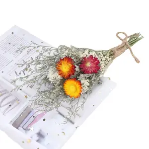 Getrockneter Blumenstrauß Bunter Blumenkunst-Misch blumenstrauß der kleinen frischen Wohnzimmer dekorations blume