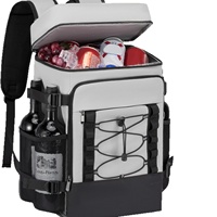 Sac à dos isotherme imperméable 600D 35L pour camping et pique-nique avec compartiments, pliable et à double bandoulière