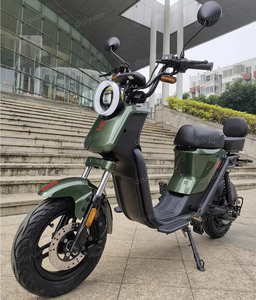 Exportations d'usine E Bike 60V30A Lithium LifePO4 Batterie Amortisseur hydraulique arrière <span class=keywords><strong>Urban</strong></span> Electric E-bike - Product Image 1