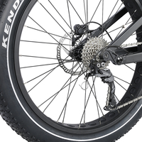 Vélo électrique Feiwel à moteur central, pneus larges, 750W 48V, modèle Step-Thru pour la neige, avec porte-bagages arrière